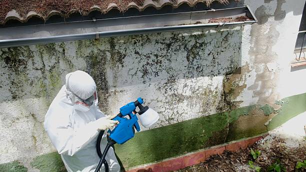 Trusted Mold Remediation service in Weston, MA - Cheap Mold Removal